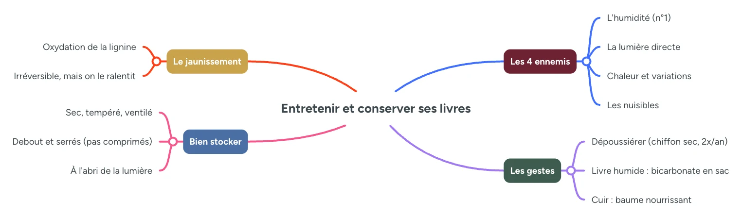Infographie : entretenir ses livres, les 4 ennemis, le jaunissement, les gestes et bien stocker