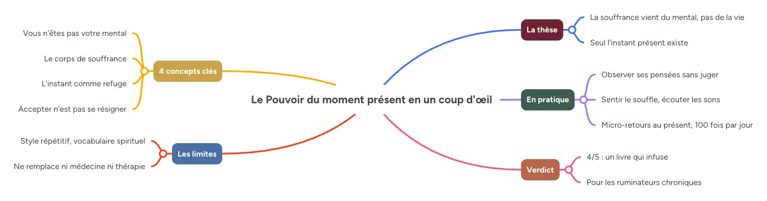 Infographie : Le Pouvoir du moment present resume, la these, les 4 concepts cles, la pratique, les limites et le verdict